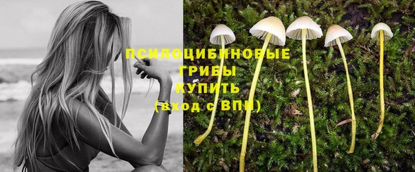 гидропоника Алзамай