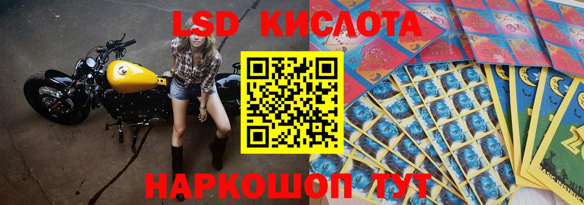 Лсд 25 экстази кислота Георгиевск