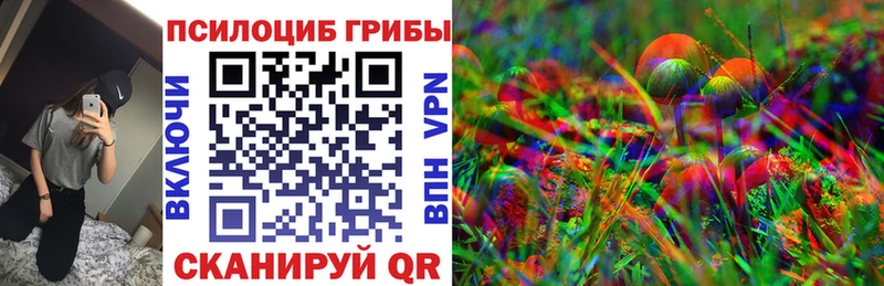 Псилоцибиновые грибы прущие грибы  Георгиевск 
