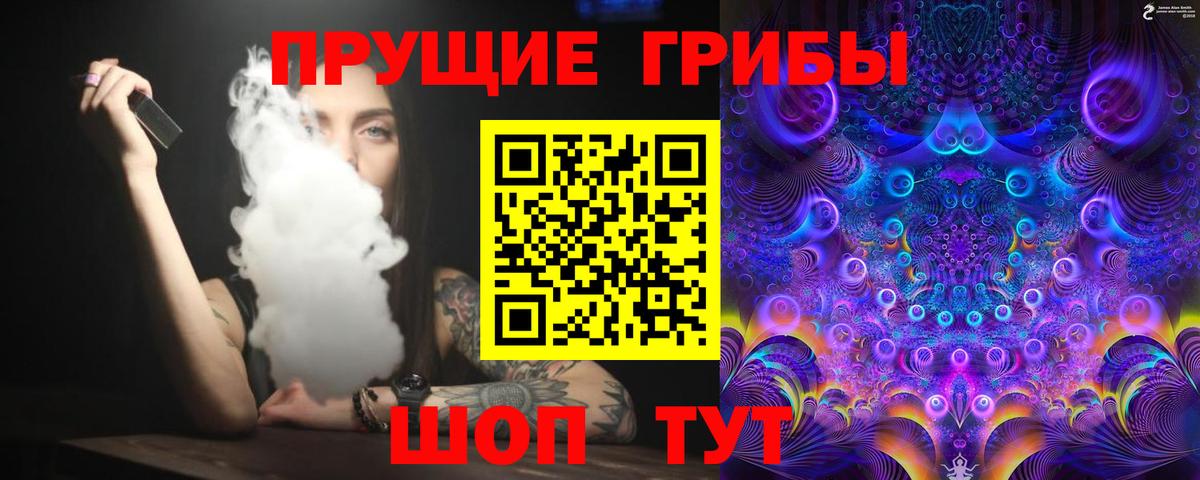 Галлюциногенные грибы Psilocybe Георгиевск
