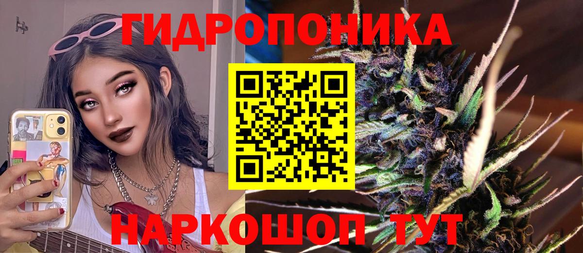 Марихуана план Георгиевск
